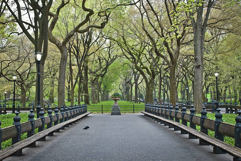 Central Park